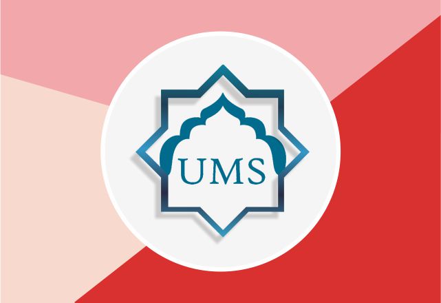 UMS Governance Framework